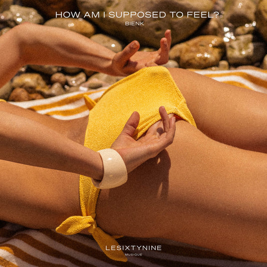 Bienk - How Am I Supposed to Feel?
