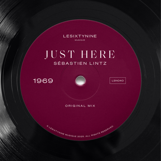 Sébastien Lintz - Just Here